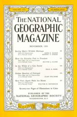 1954-11.pdf
